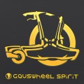 Gauswheel